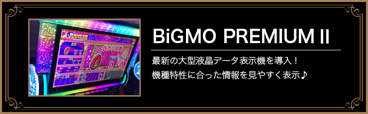 BiGMO　PREMIUM　Ⅱ